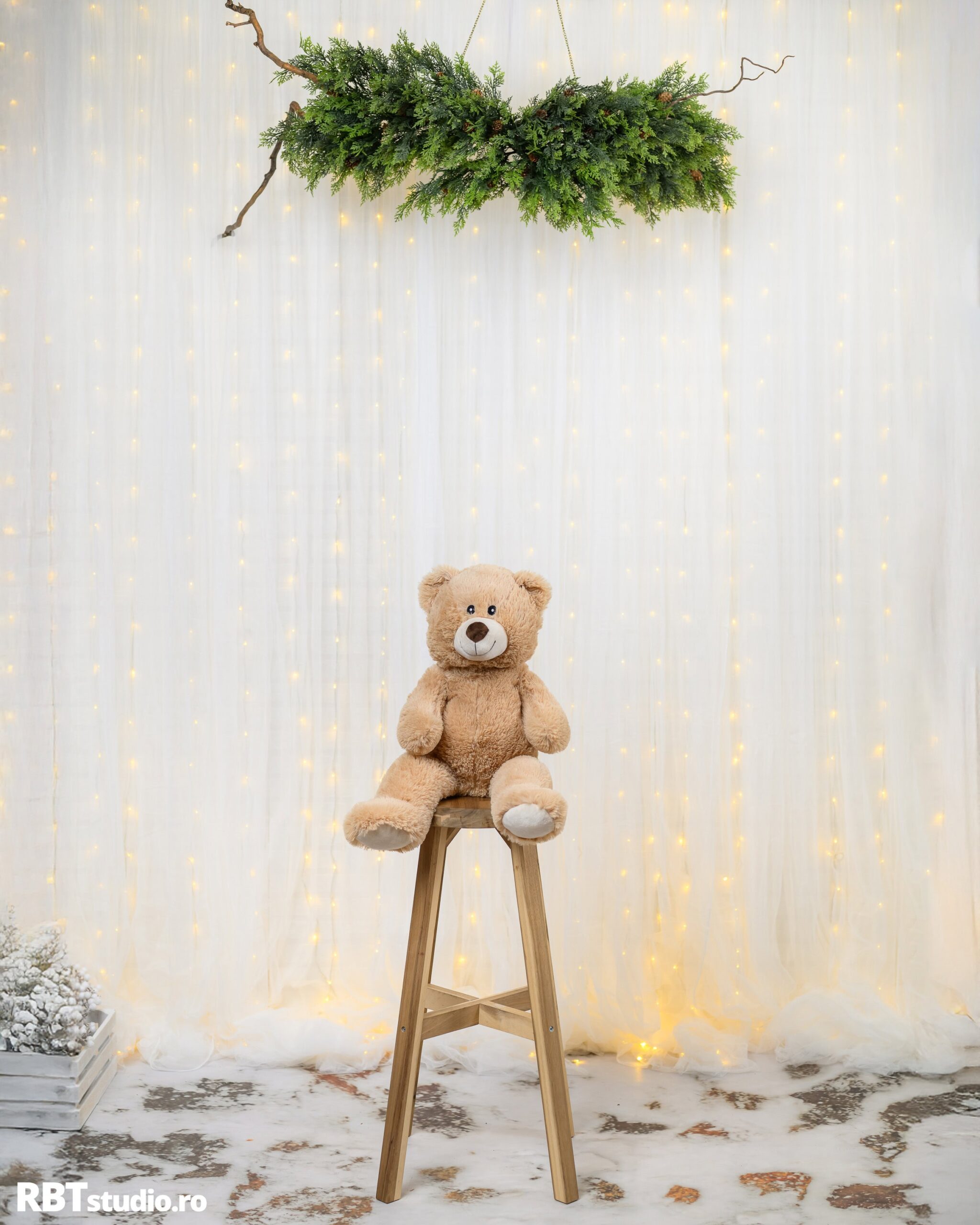 4. Noel Blanc scaled - Ședințe foto de Crăciun